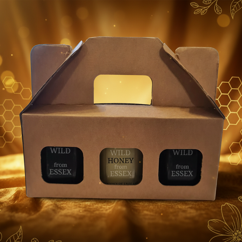 "Unique Essex Triple Honey Box Set"