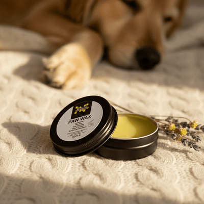 PAW WAX "Pamper & Protect: All-Natural Beeswax Paw Wax for Happy, Healthy Paws" - JP's Wild Honey Ltd