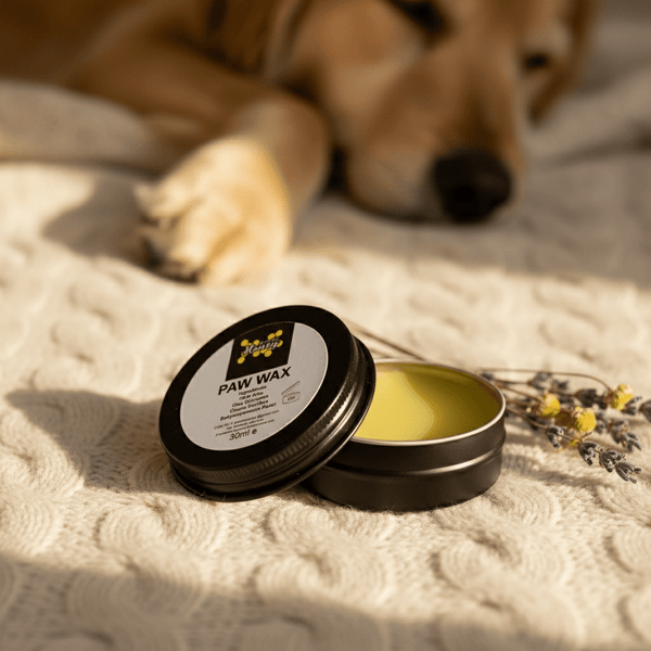 All-Natural Beeswax Paw Wax for Happy, Healthy Paws - JP's Wild